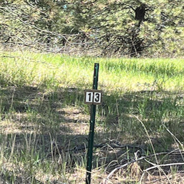 Lot 13 Quill Dr - Photo 11