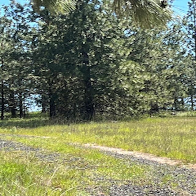 Lot 13 Quill Dr - Photo 15
