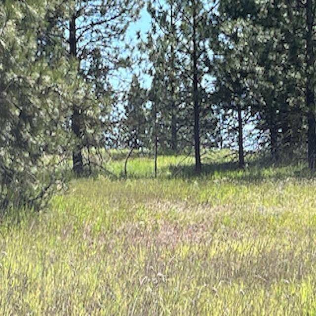 Lot 13 Quill Dr - Photo 16