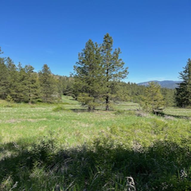 Lot 13 Quill Dr - Photo 17