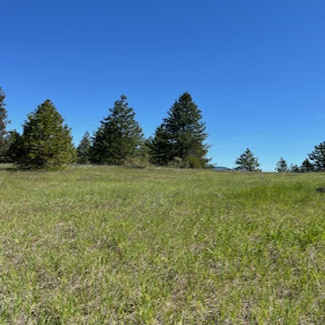 Lot 13 Quill Dr - Photo 19
