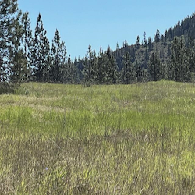Lot 13 Quill Dr - Photo 20