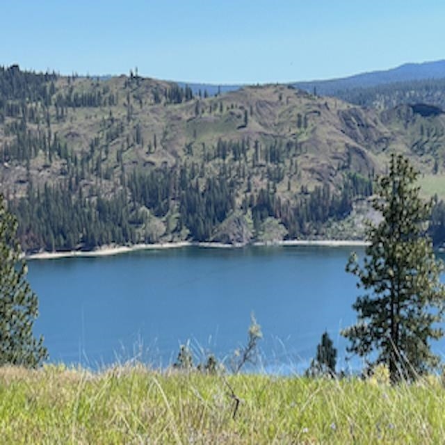 Lot 13 Quill Dr - Photo 3
