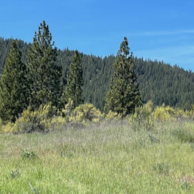 Lot 13 Quill Dr - Photo 21