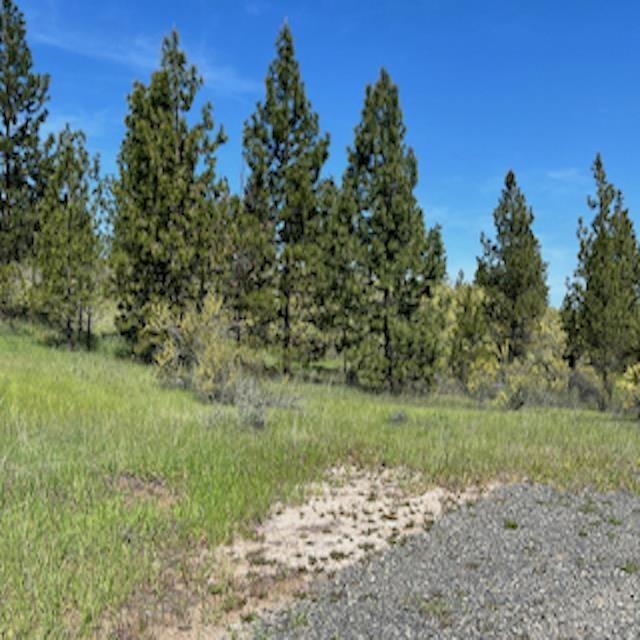 Lot 13 Quill Dr - Photo 23