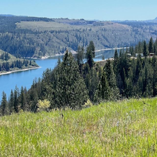 Lot 13 Quill Dr - Photo 4