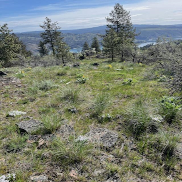 Lot 13 Quill Dr - Photo 10