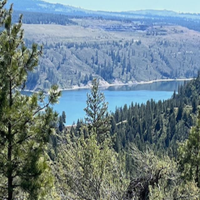 Lot 10 Timberbay Ranches Dr - Photo 1
