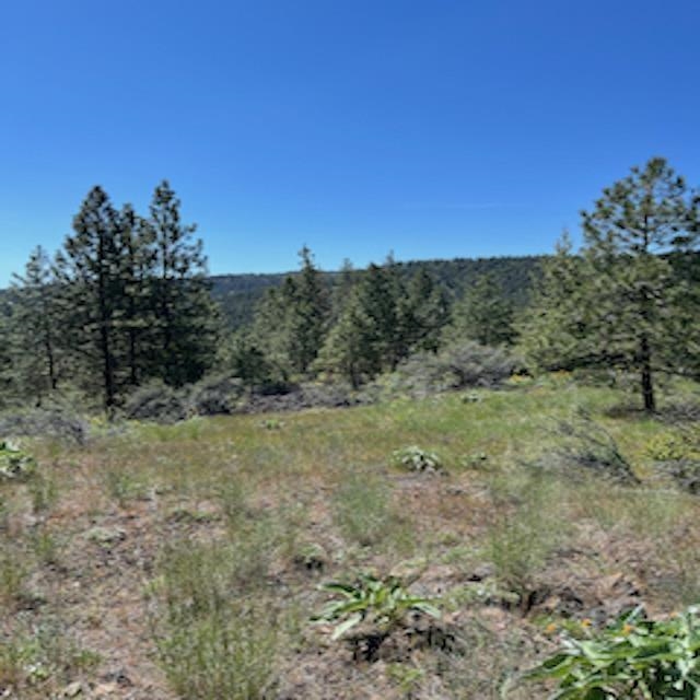 Lot 10 Timberbay Ranches Dr - Photo 13