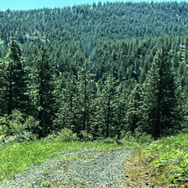 Lot 10 Timberbay Ranches Dr - Photo 18