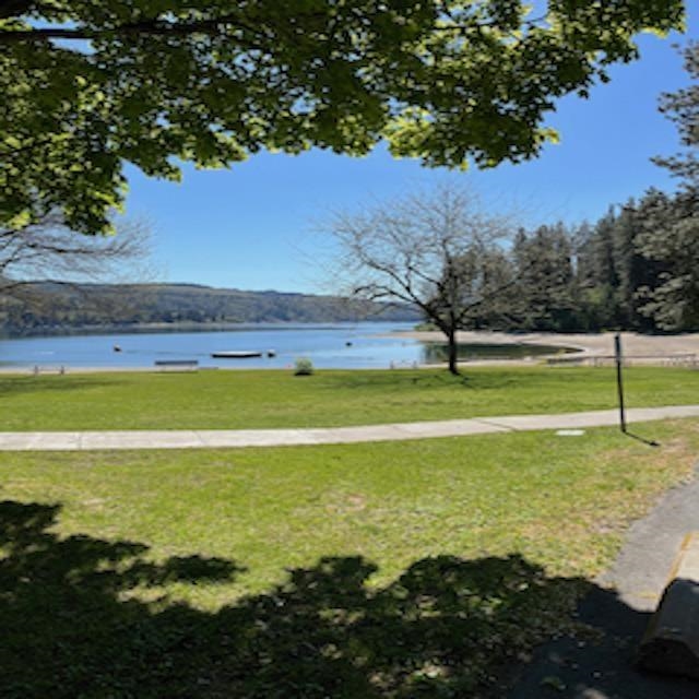 Lot 10 Timberbay Ranches Dr - Photo 26