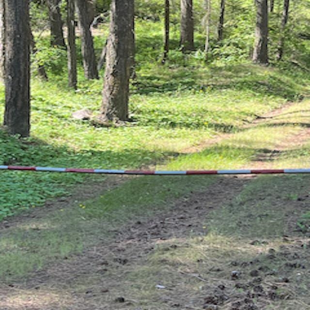 Lot 10 Timberbay Ranches Dr - Photo 29
