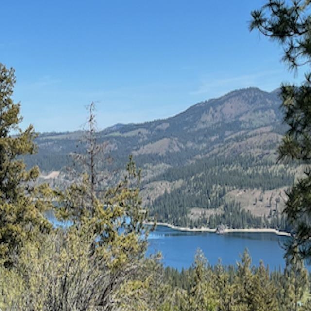 Lot 10 Timberbay Ranches Dr - Photo 4