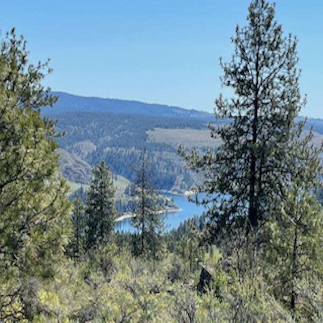 Lot 10 Timberbay Ranches Dr - Photo 5