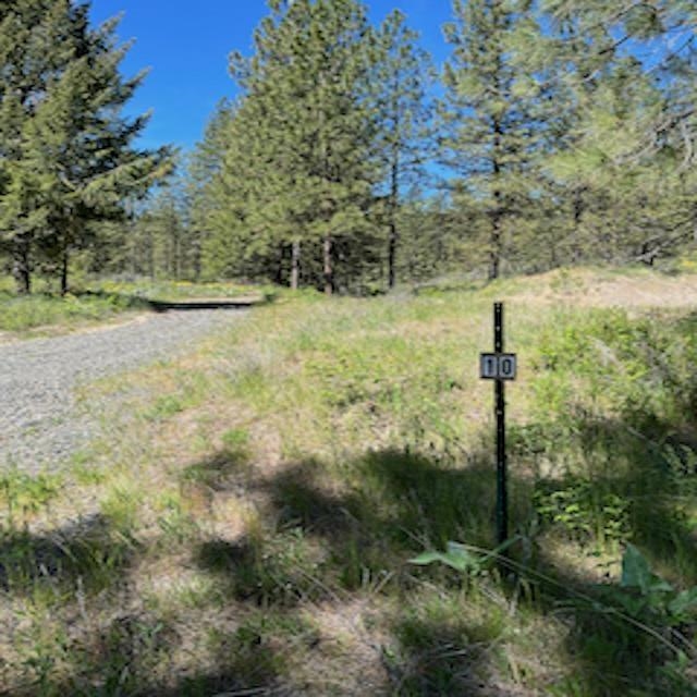 Lot 10 Timberbay Ranches Dr - Photo 7