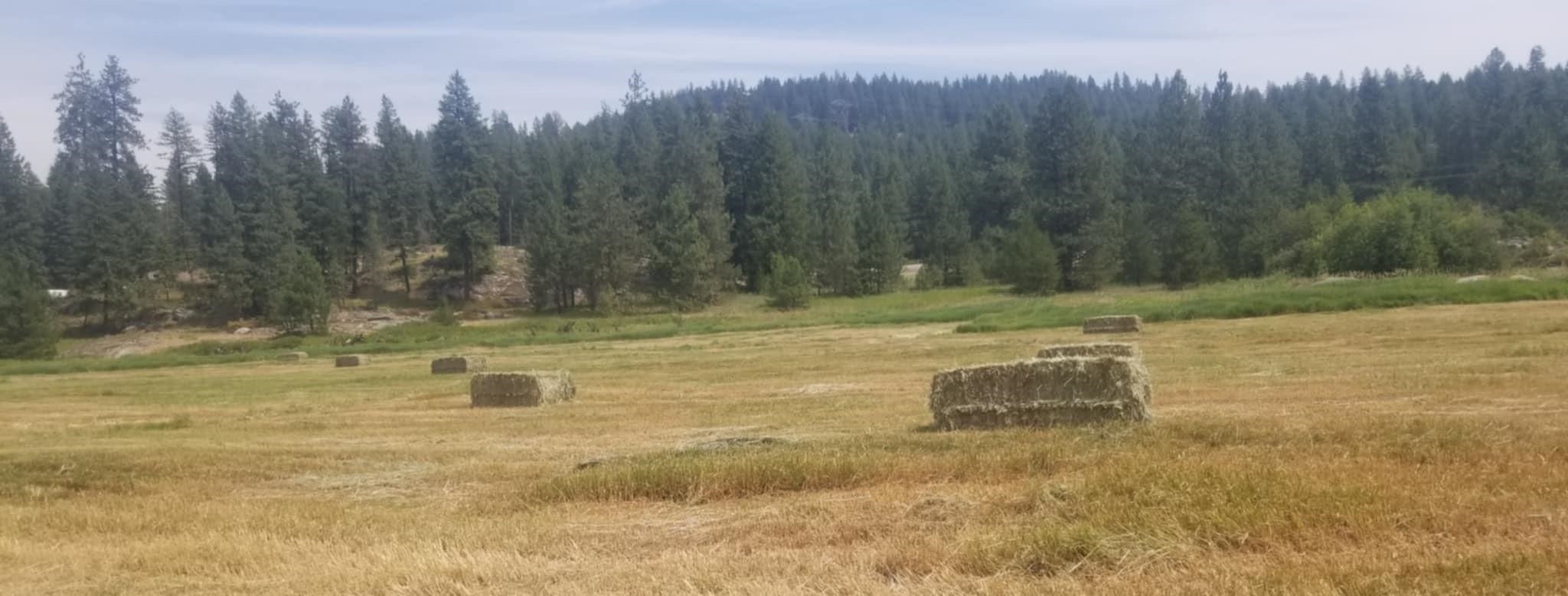 XXXX Hwy 211 - Photo 18