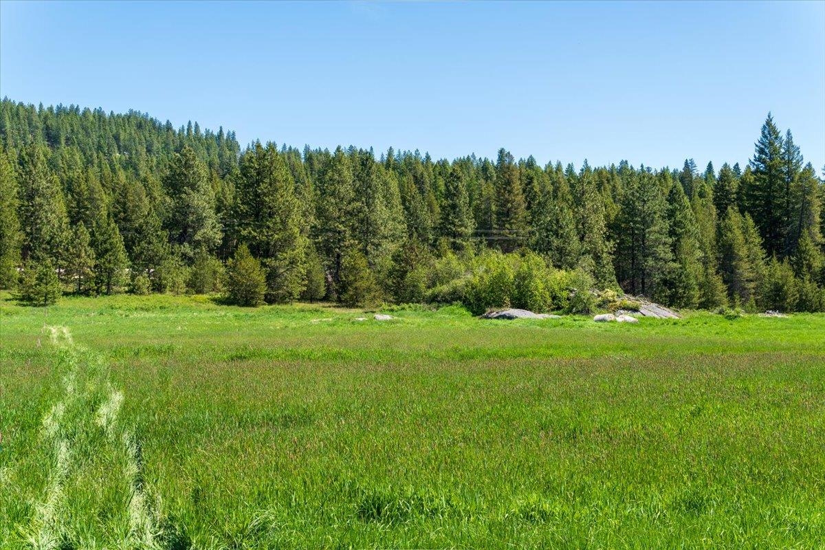 XXXX Hwy 211 - Photo 5