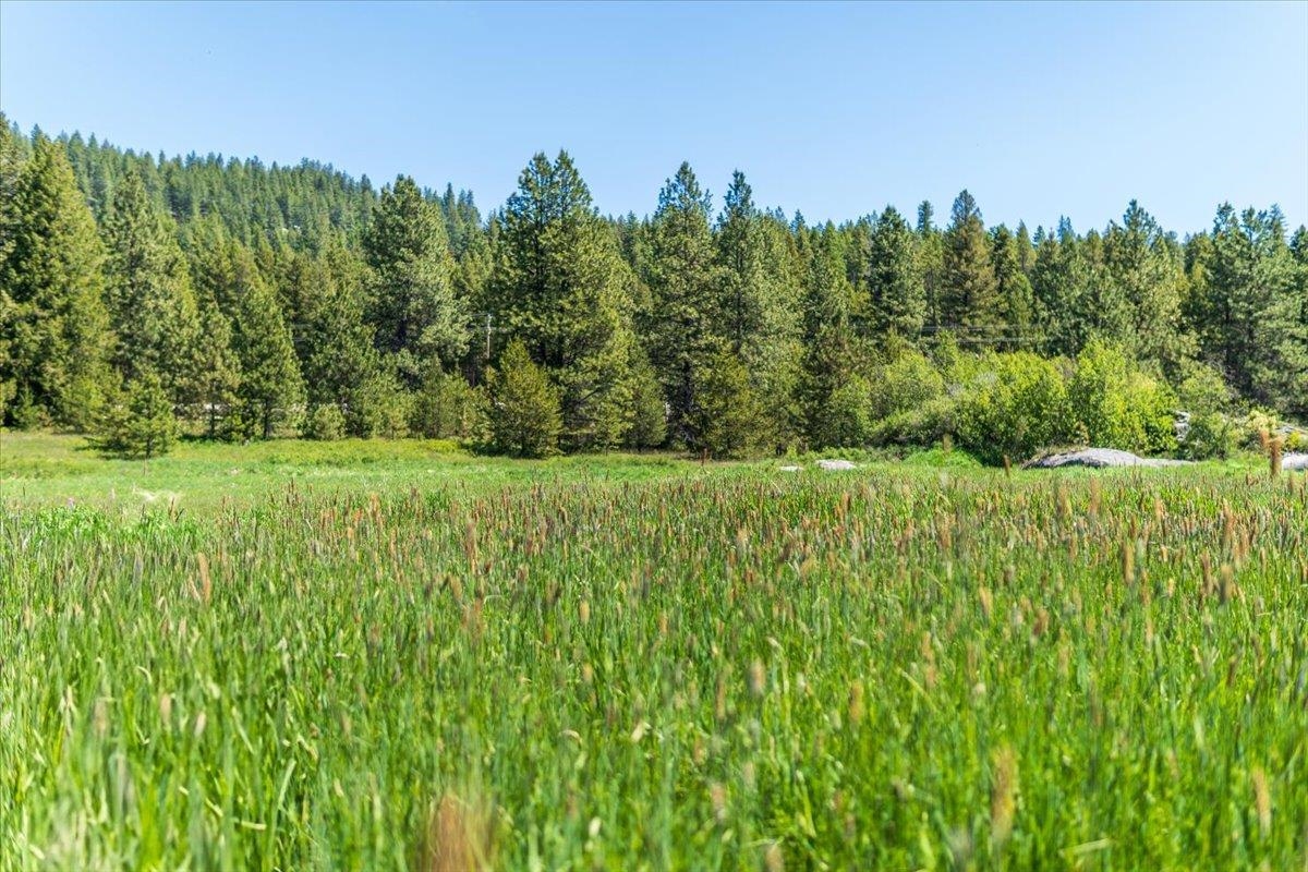 XXXX Hwy 211 - Photo 2