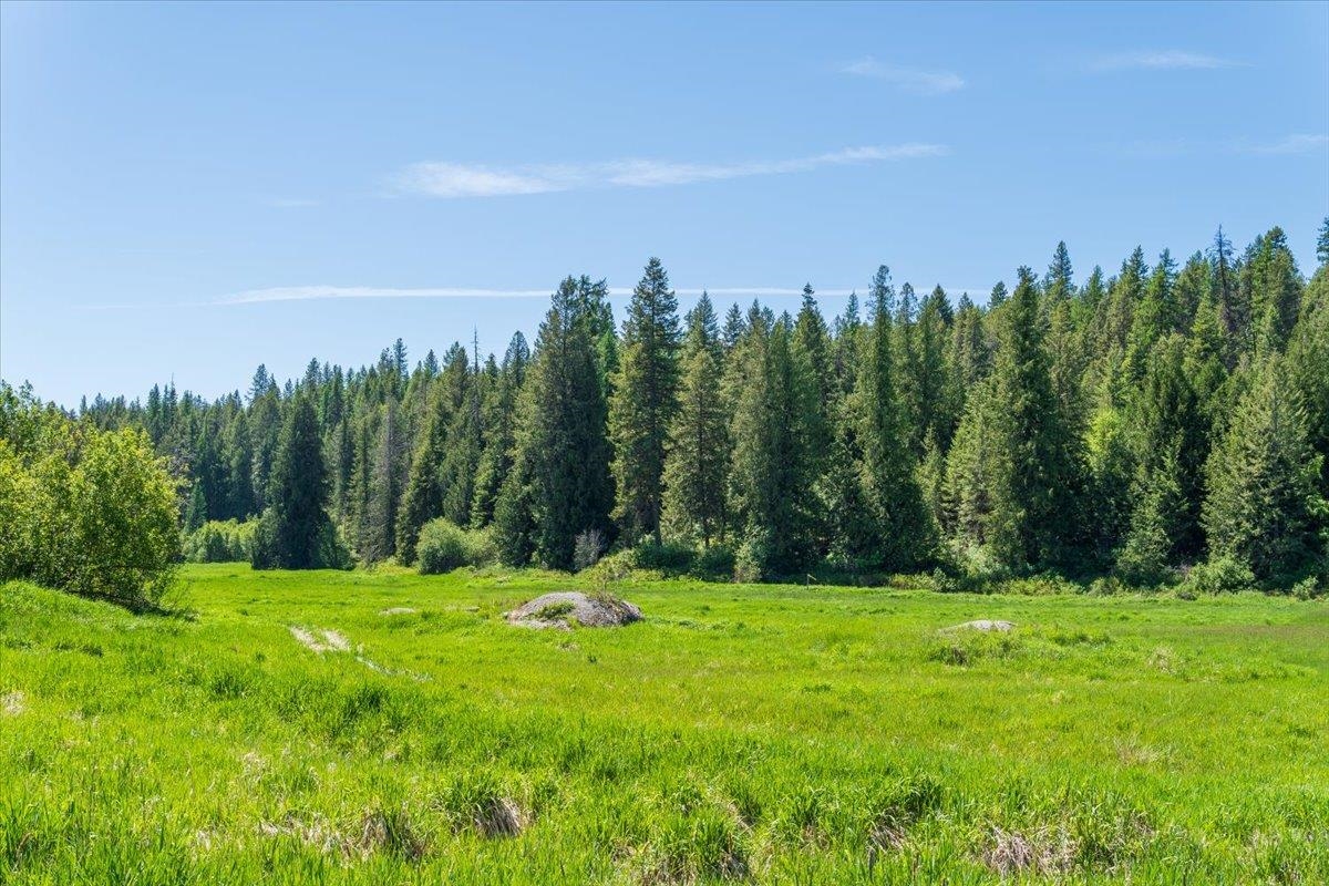 XXXX Hwy 211 - Photo 8
