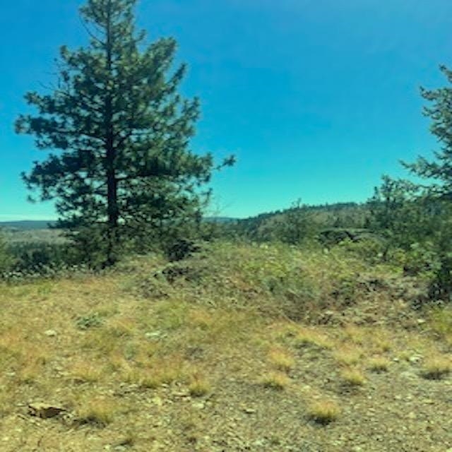 Lot 27 Bighorn Dr - Photo 3