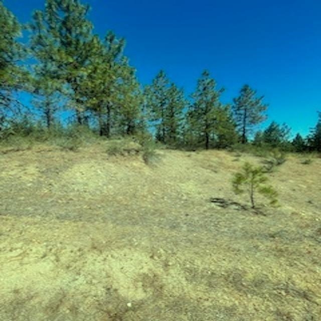 Lot 27 Bighorn Dr - Photo 4