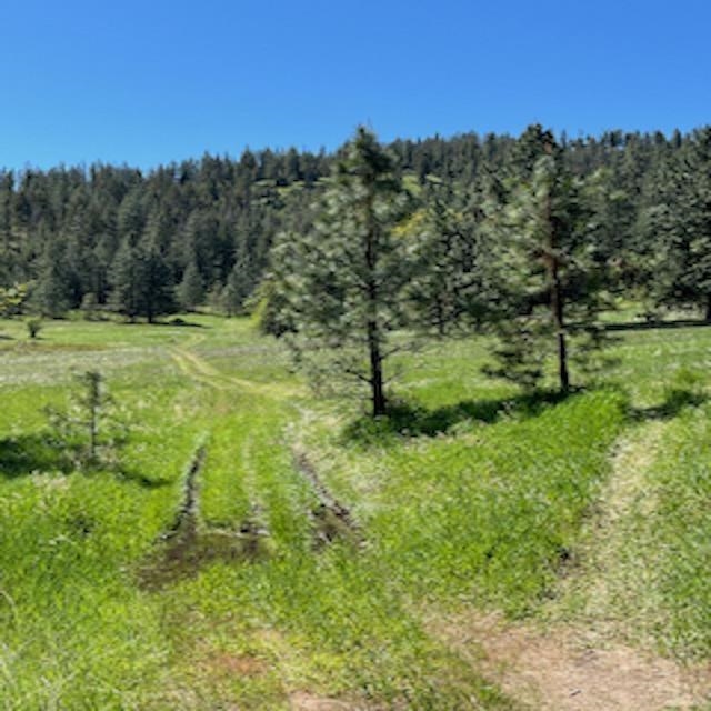 Lot 27 Bighorn Dr - Photo 6