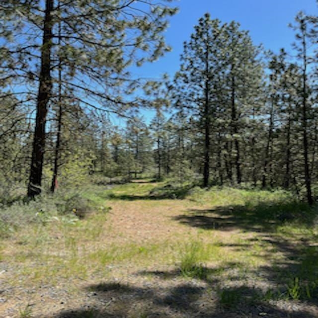 Lot 27 Bighorn Dr - Photo 7