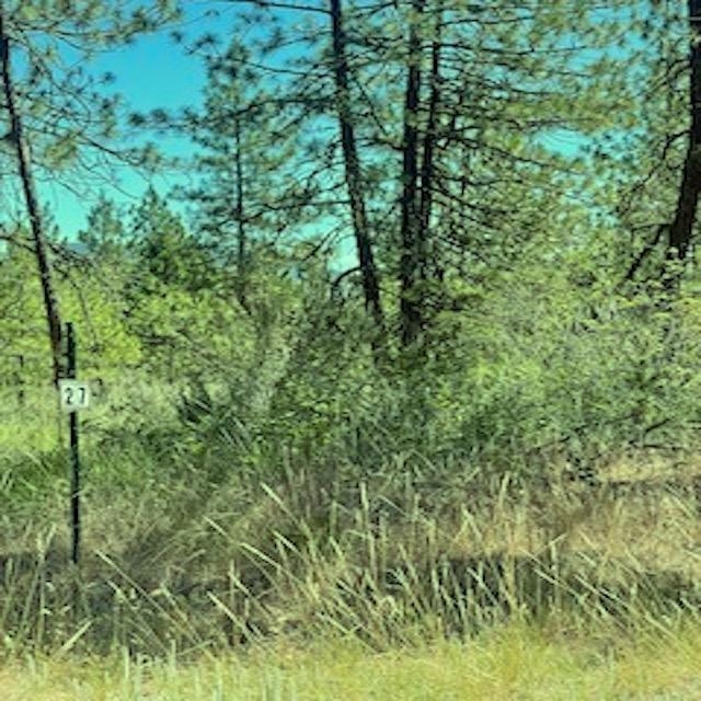 Lot 27 Bighorn Dr - Photo 8