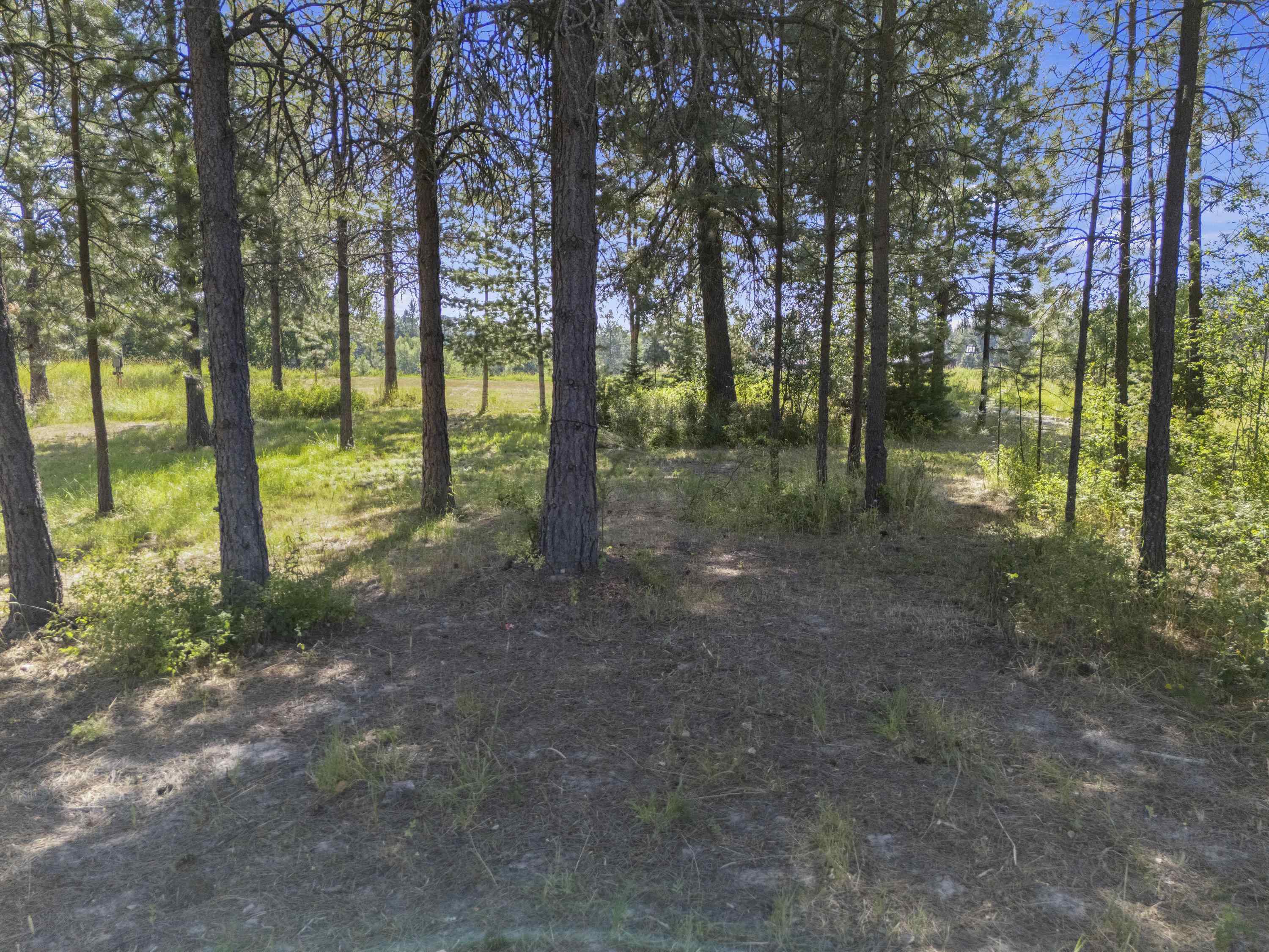 133 Bald Eagle Dr - Photo 26
