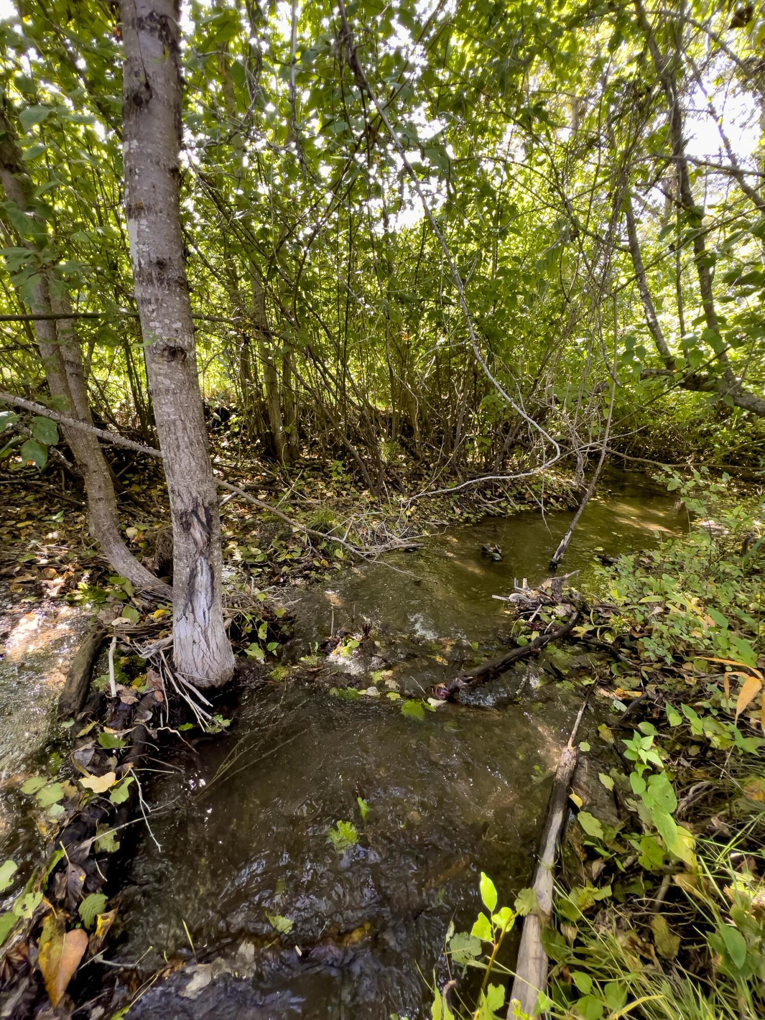1508 Dead Medicine Rd - Photo 26
