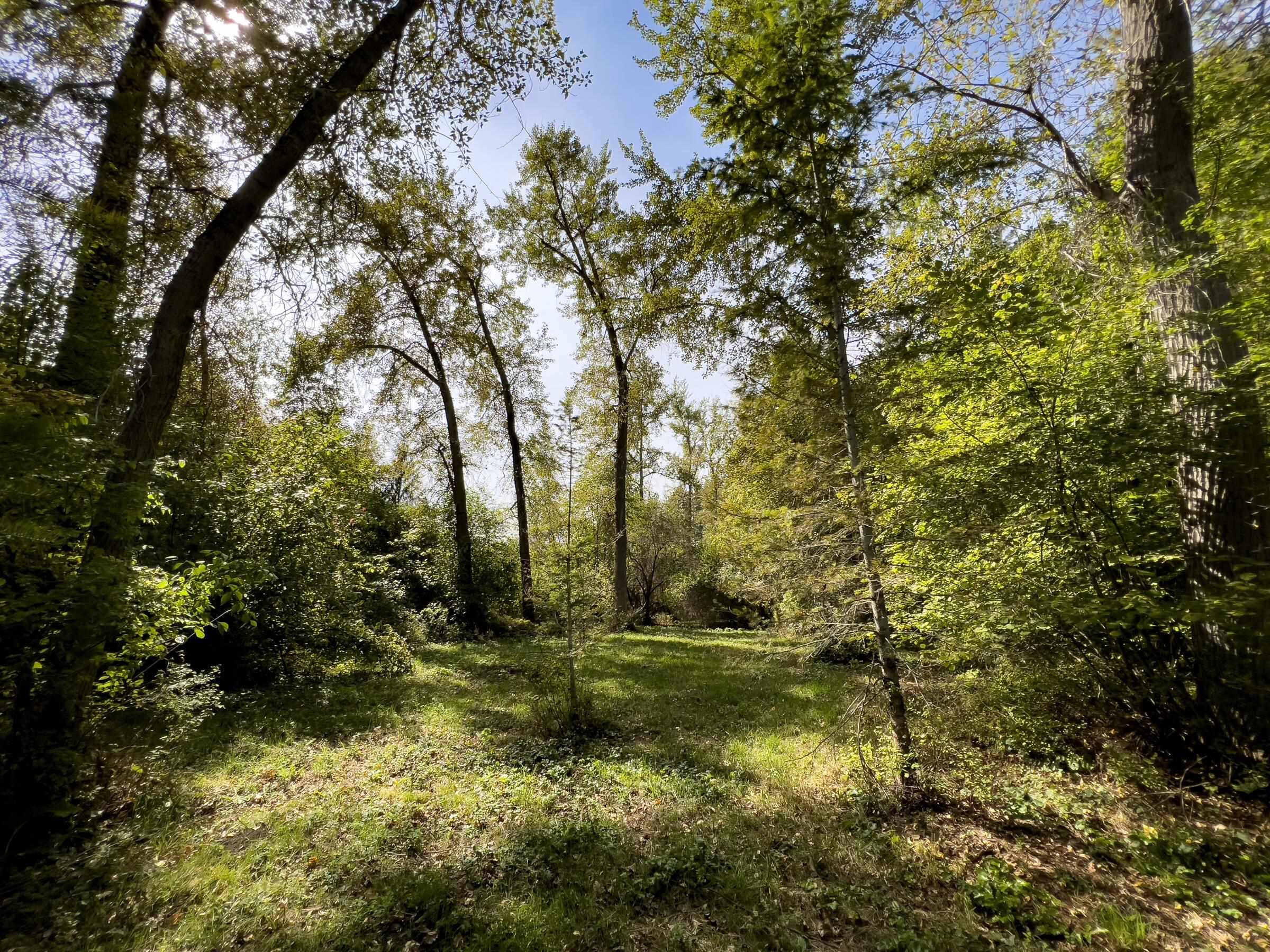 1508 Dead Medicine Rd - Photo 27
