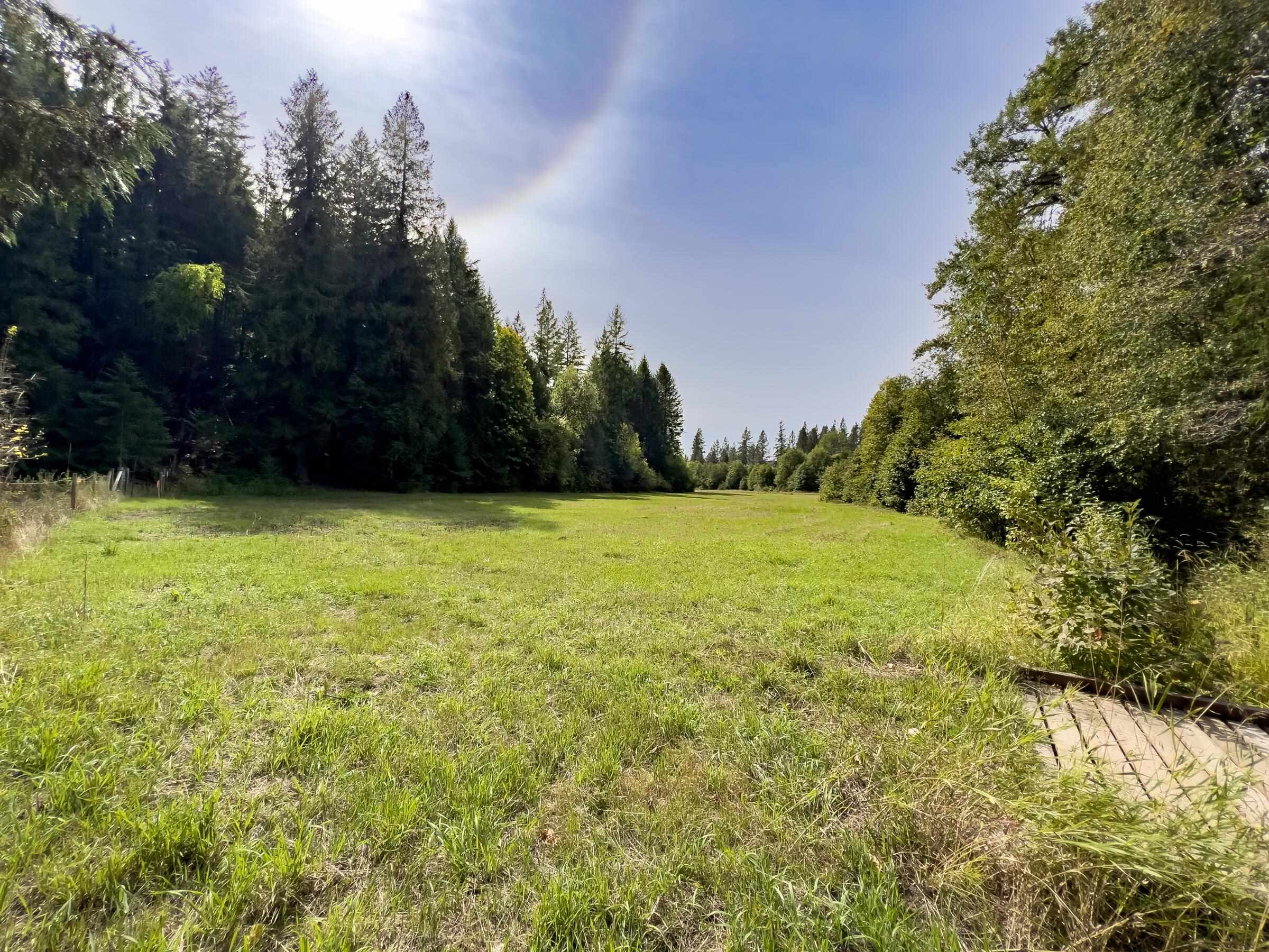 1508 Dead Medicine Rd - Photo 28