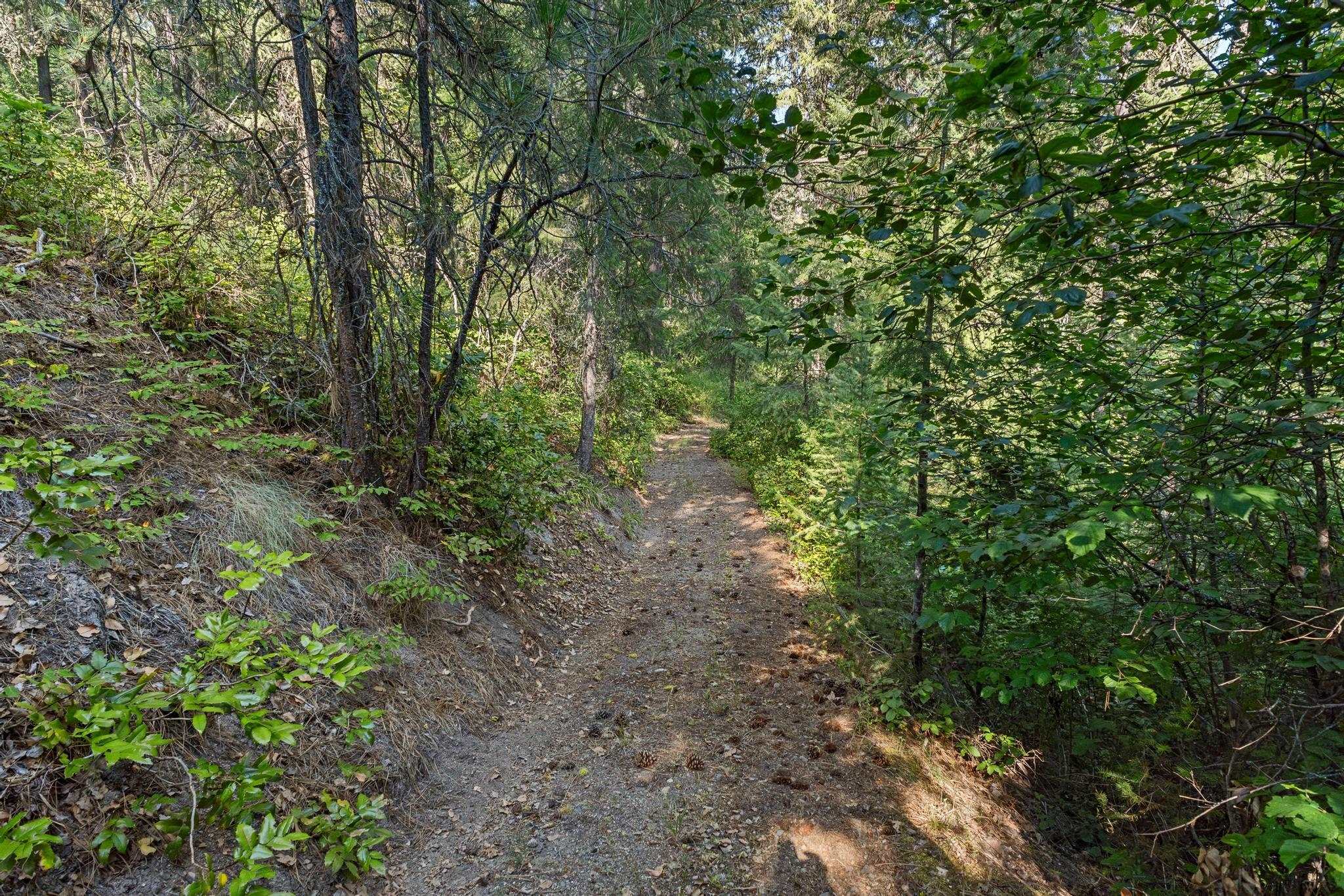 1508 Dead Medicine Rd - Photo 39