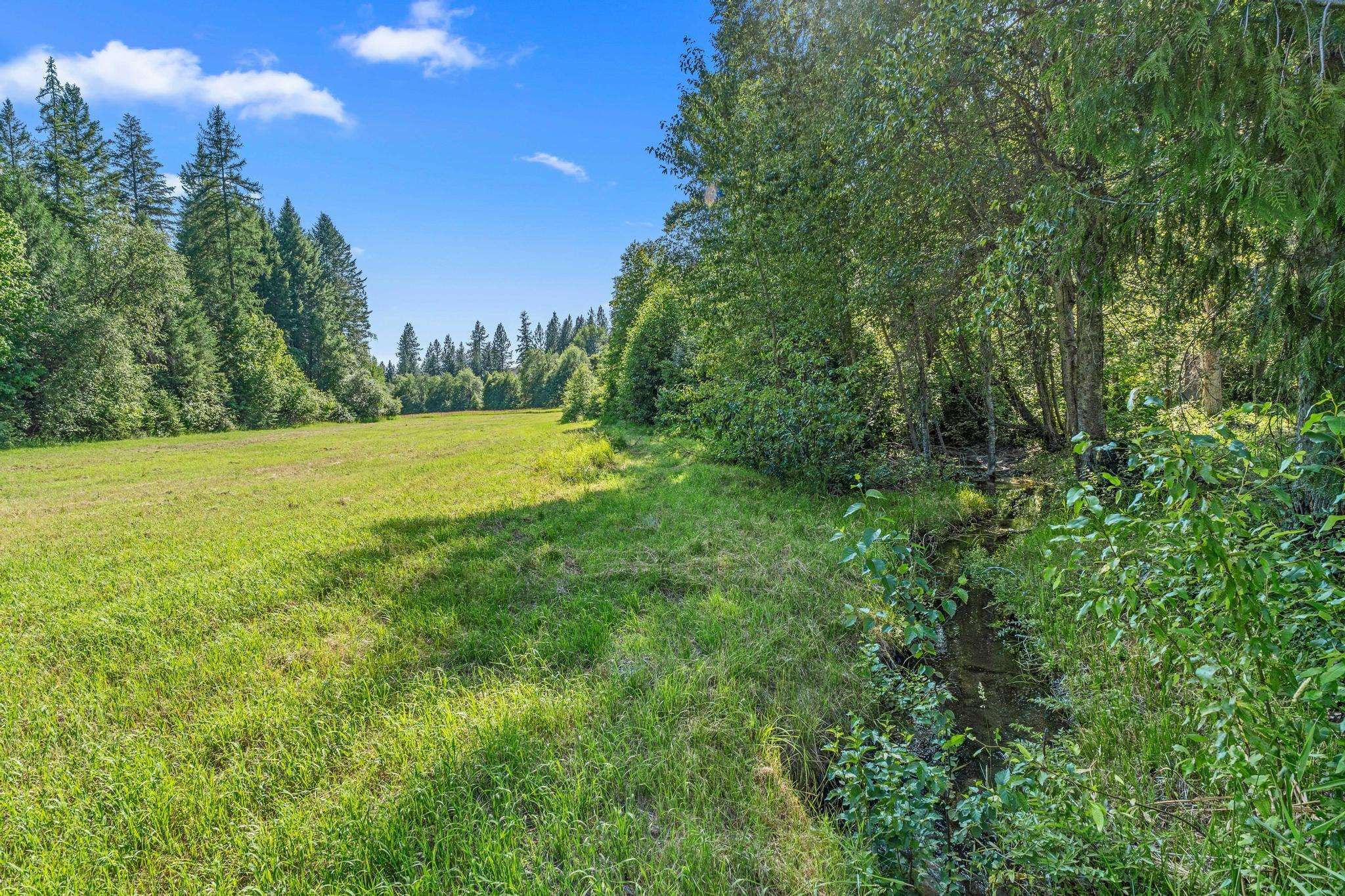 1508 Dead Medicine Rd - Photo 40