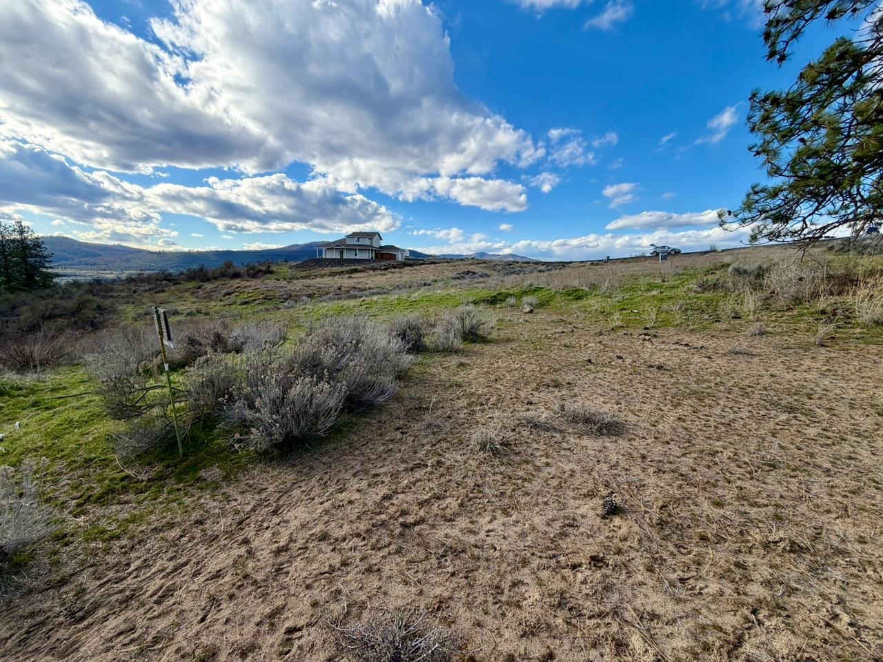 42255 Deer Heights N Dr - Photo 13