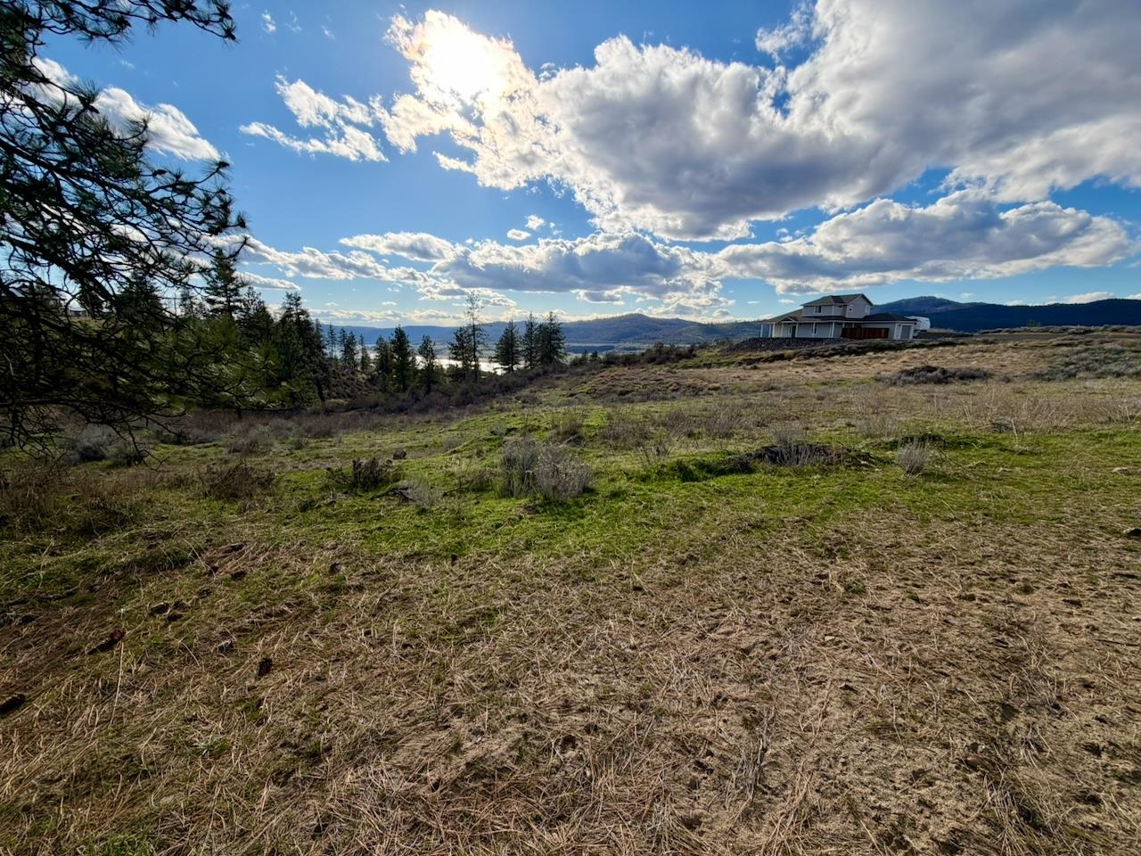 42255 Deer Heights N Dr - Photo 14