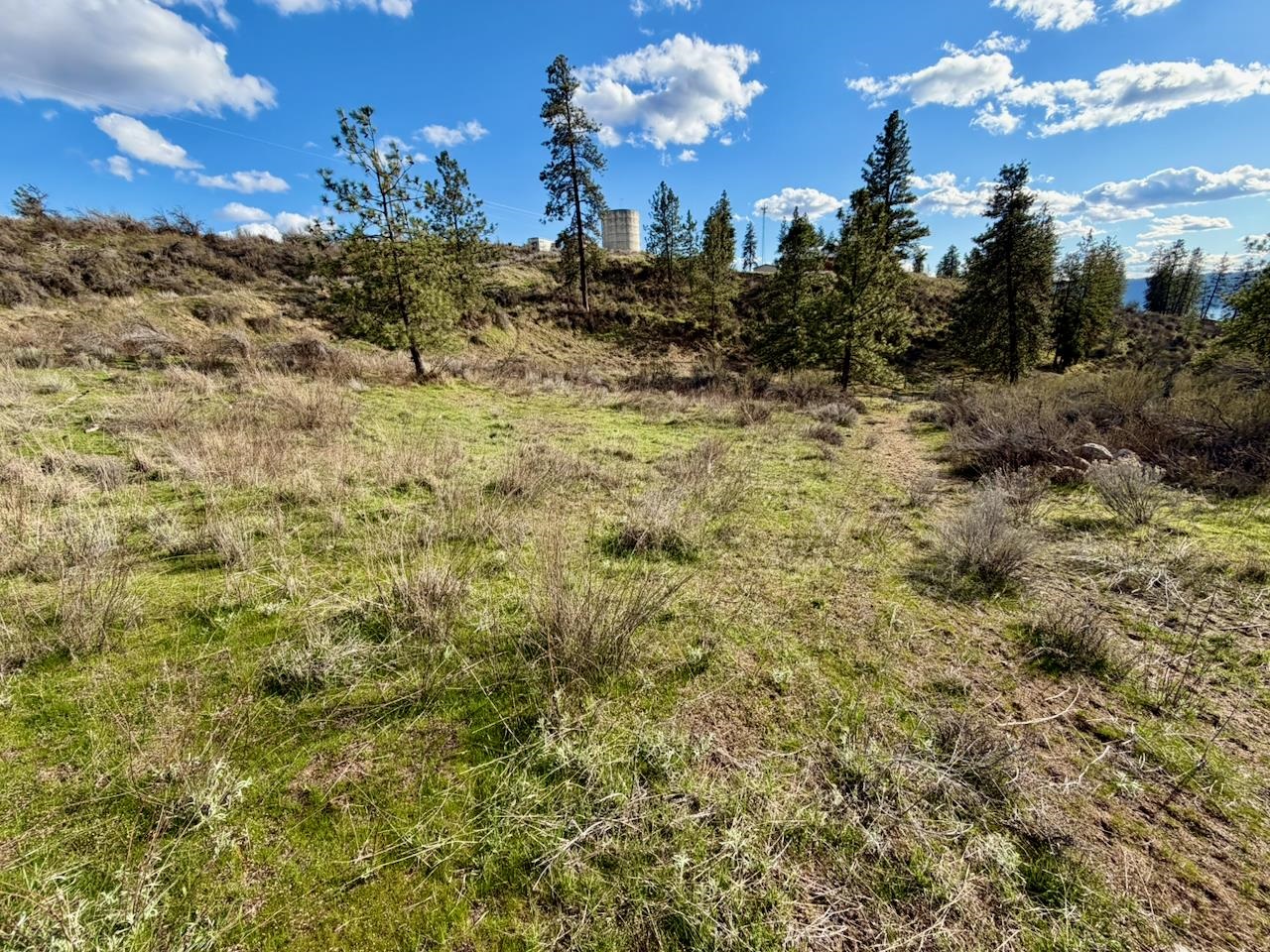 42255 Deer Heights N Dr - Photo 8