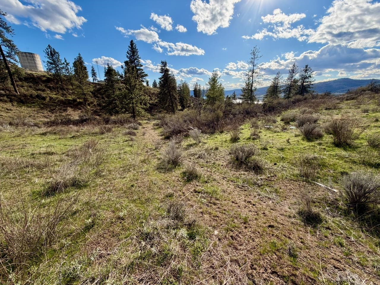 42255 Deer Heights N Dr - Photo 9