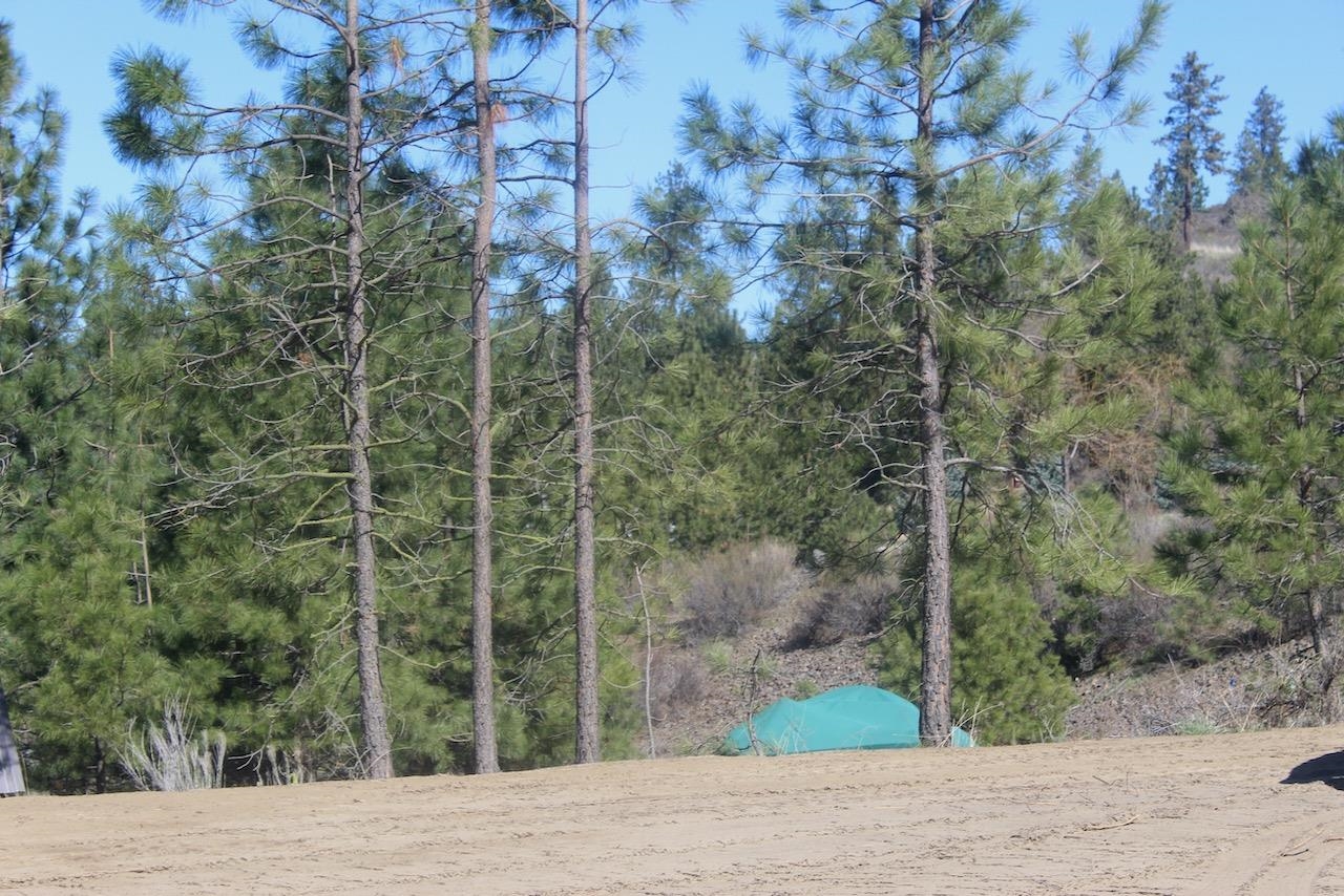 39555 N Peach Orchard Way - Photo 3