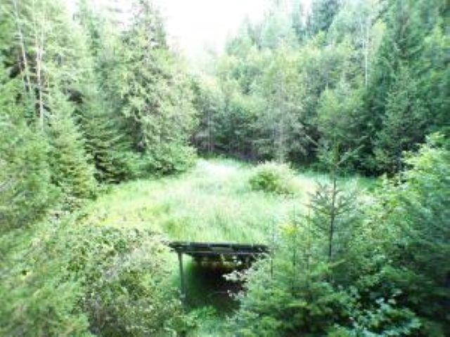 3121 Fifteen Mile Creek Rd. Rd - Photo 30
