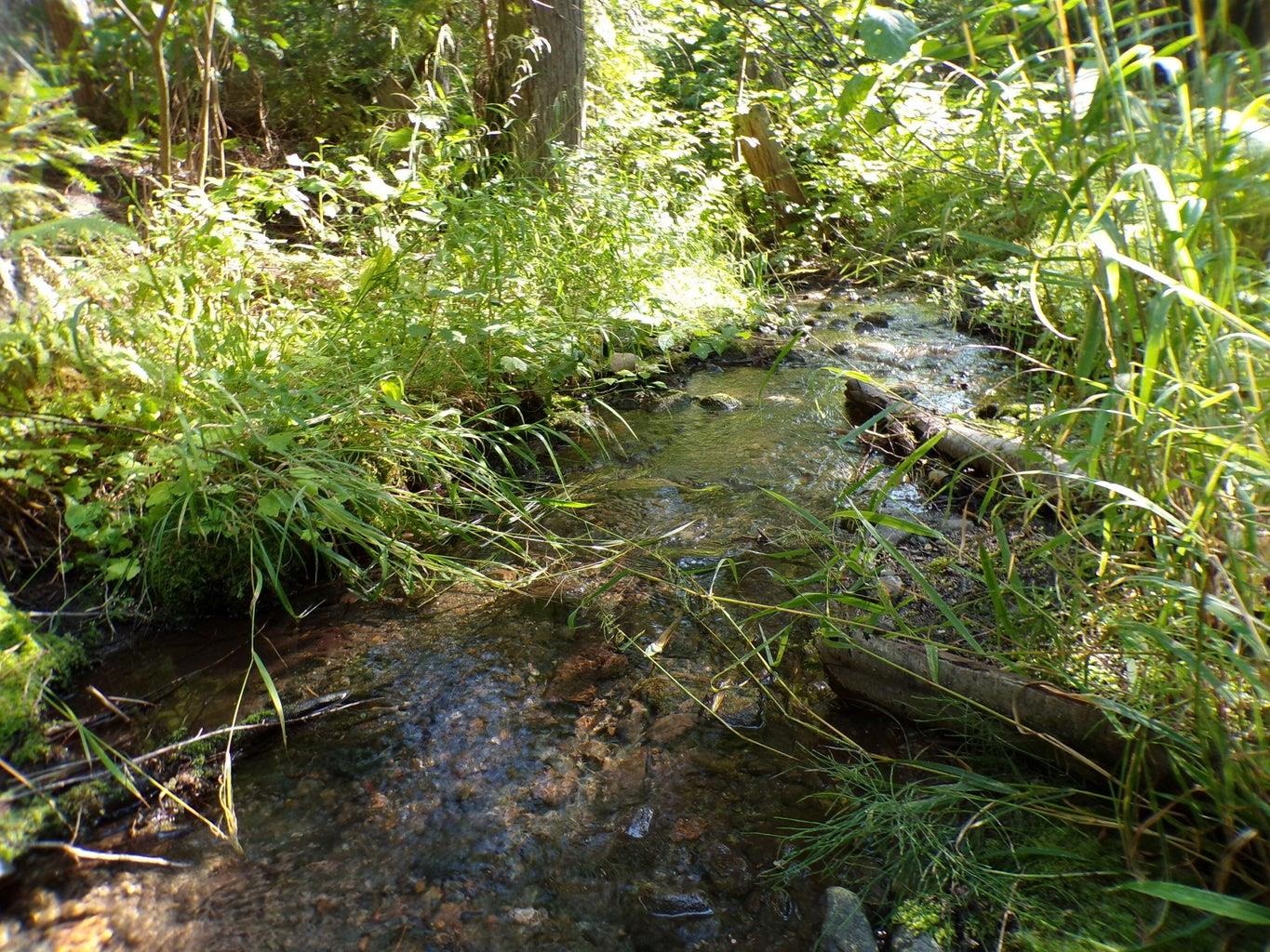 3121 Fifteen Mile Creek Rd. Rd - Photo 32