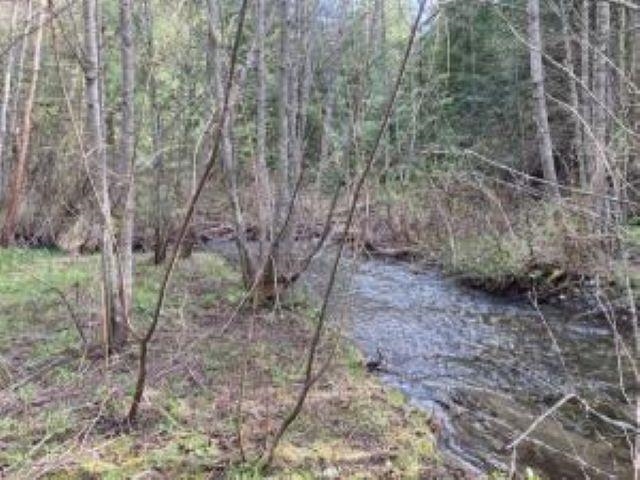 3121 Fifteen Mile Creek Rd. Rd - Photo 34