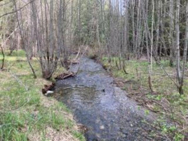 3121 Fifteen Mile Creek Rd. Rd - Photo 35