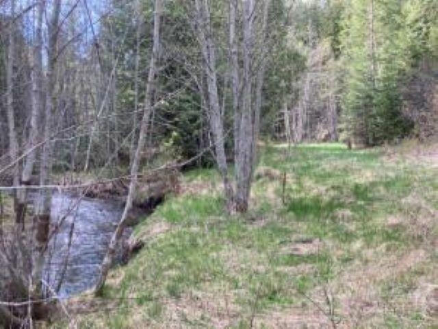 3121 Fifteen Mile Creek Rd. Rd - Photo 37
