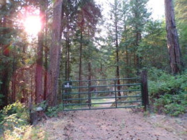 3121 Fifteen Mile Creek Rd. Rd - Photo 40