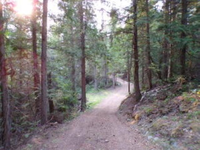 3121 Fifteen Mile Creek Rd. Rd - Photo 42