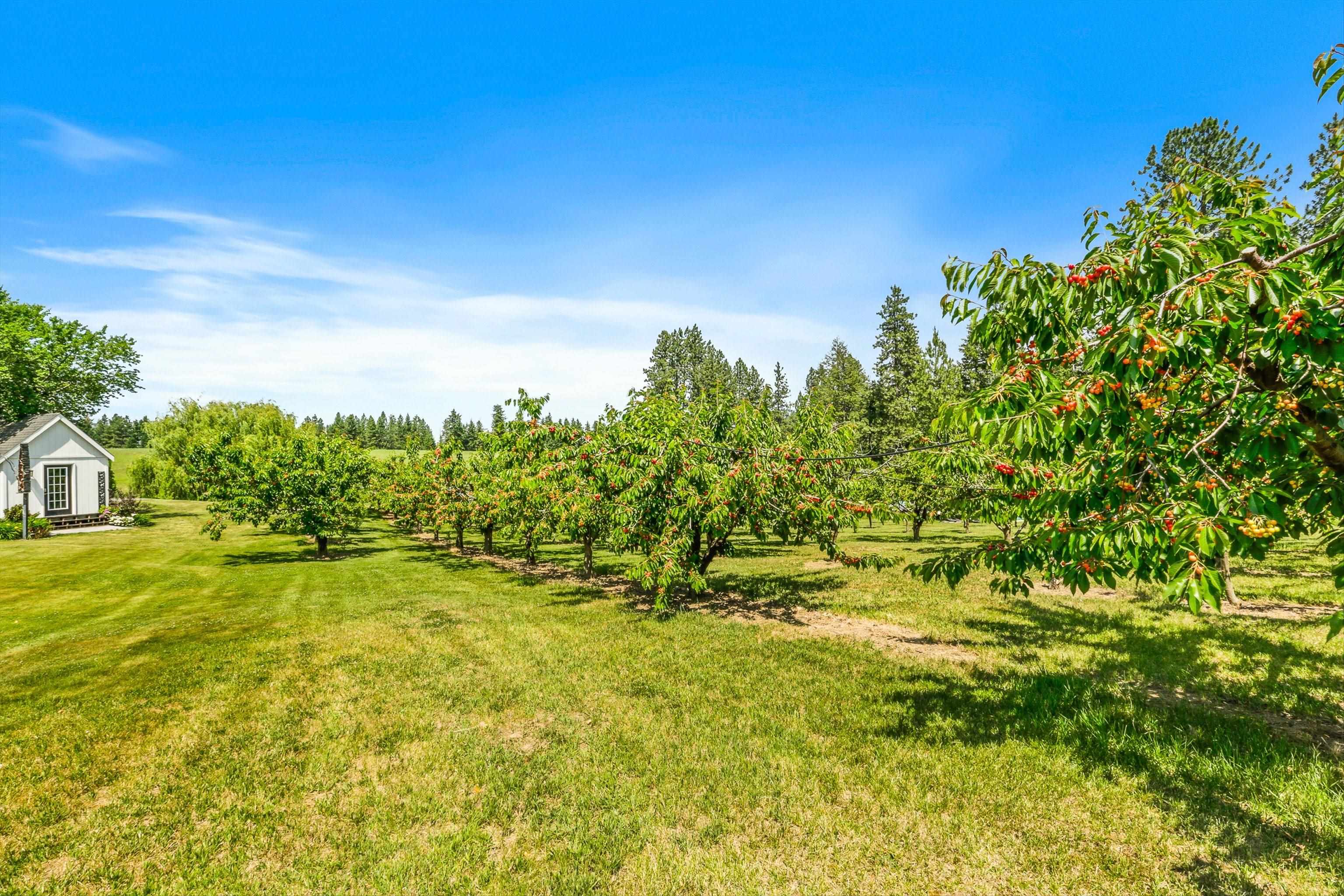 17911 N Day Mount Spokane Rd - Photo 41
