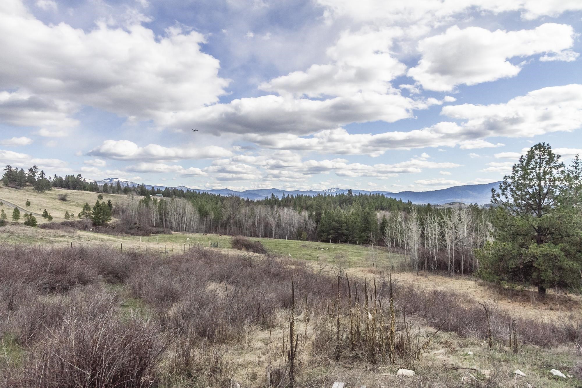 817 DOMINION SPRINGS Way - Photo 23