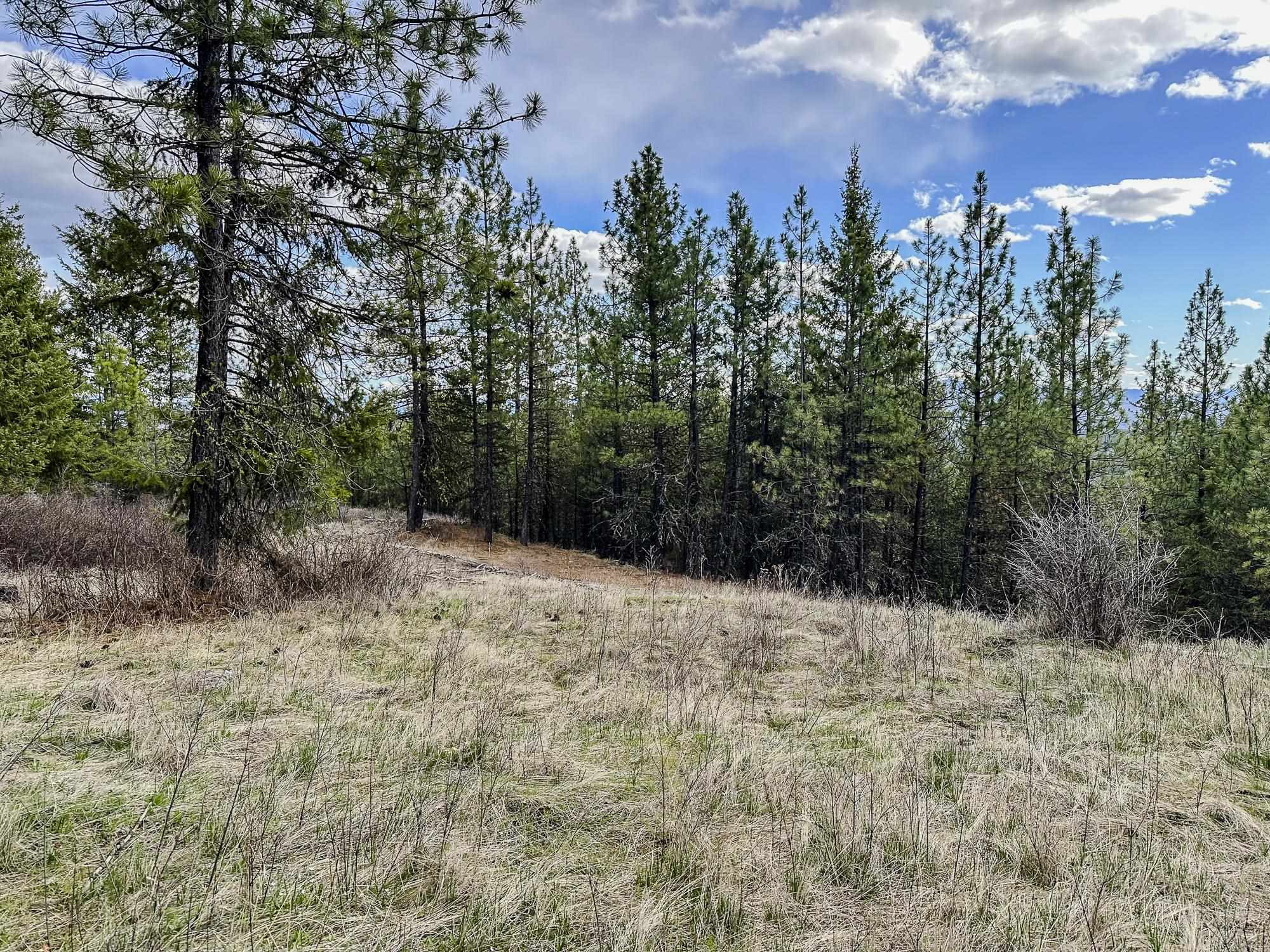 817 DOMINION SPRINGS Way - Photo 32