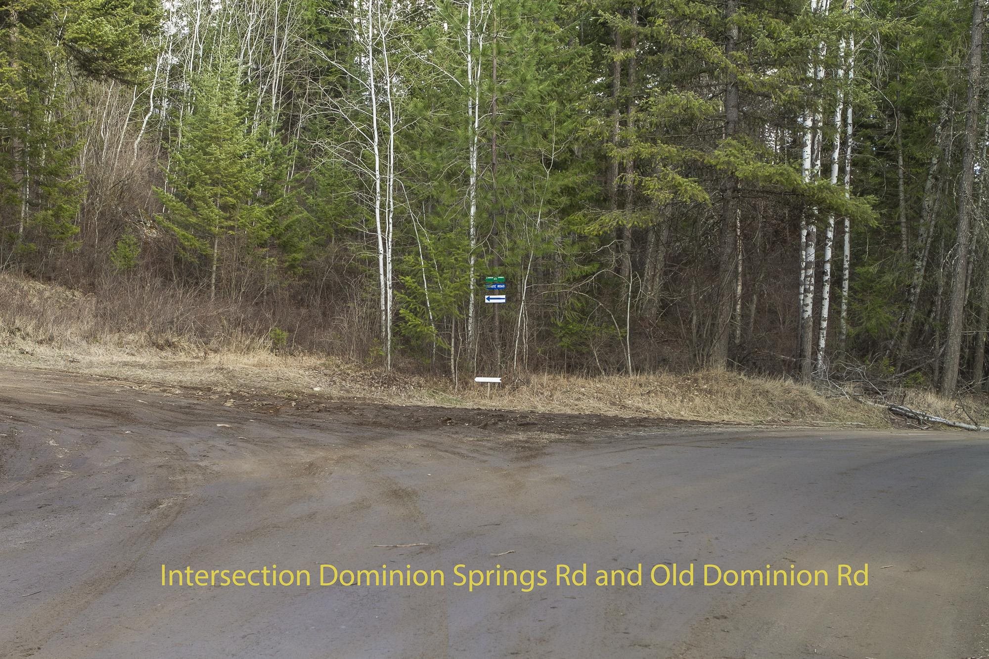 817 DOMINION SPRINGS Way - Photo 35